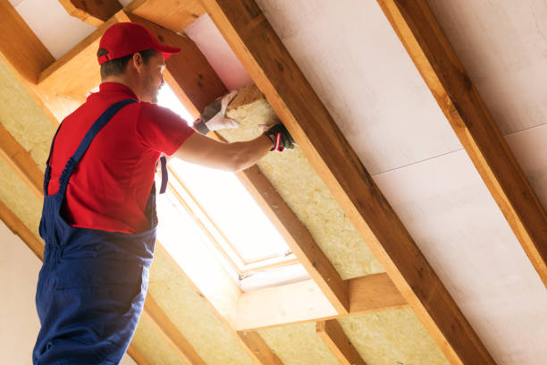 Best Commercial Insulation Services  in USA